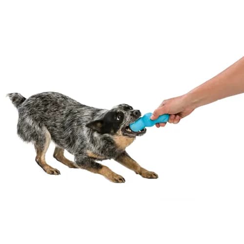 West Paw - Juguete Rumpus
