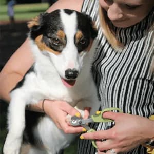 Safari - Corta Uñas Deluxe Para Perro