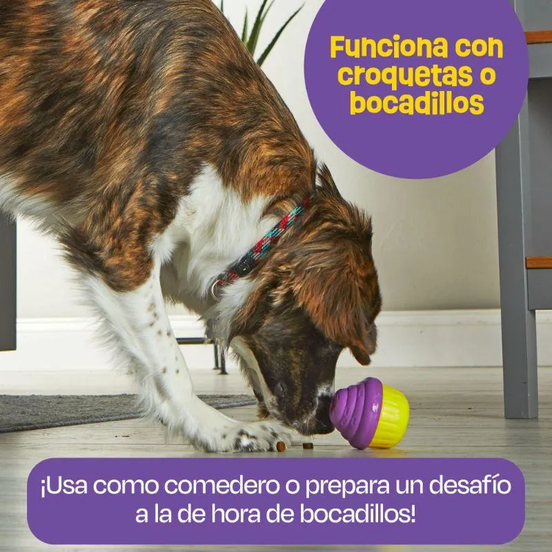 Brightkins - Dispensador Grande De Premios En Forma De Cupcakes
