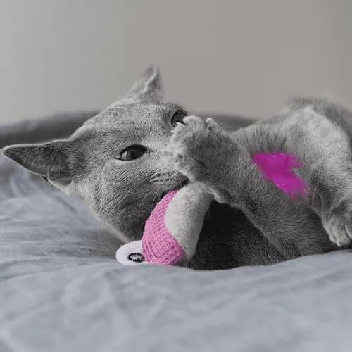 Petstages - Peluche Dental Pescados