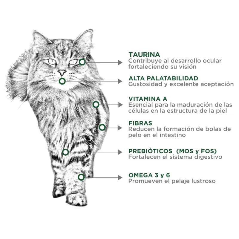 Nupec - Felino Hairball Control