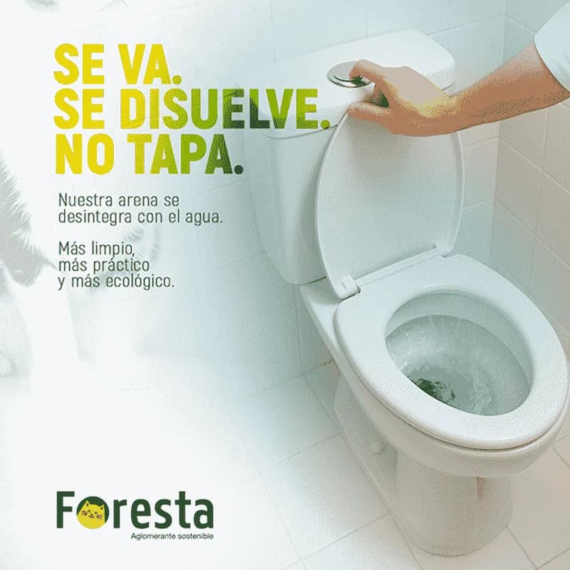 Foresta - Aglomerante Sostenible