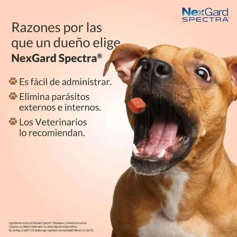 NexGard Spectra - Tableta Masticable para Perros 3.6 - 7.5 KG