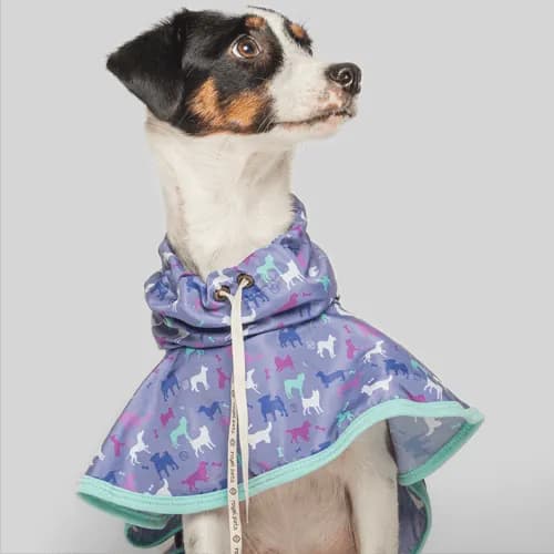 Royal Pets - Capa De Lluvia Para Mascotas - Morado