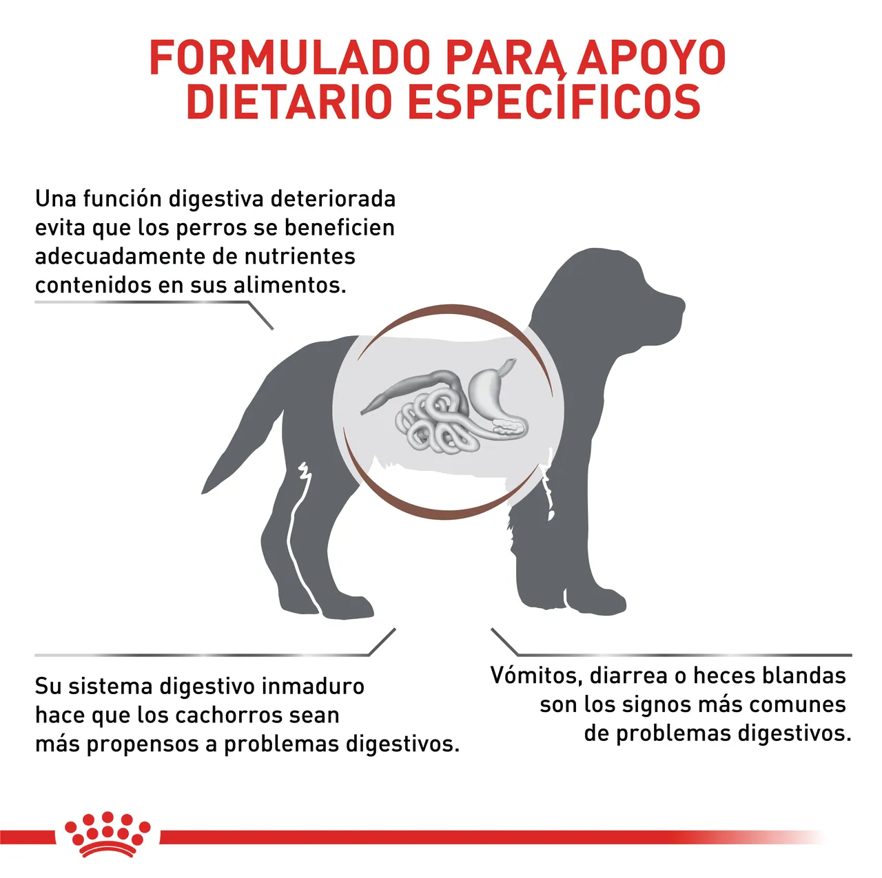 Royal Canin Veterinary Gastro Intestinal Junior