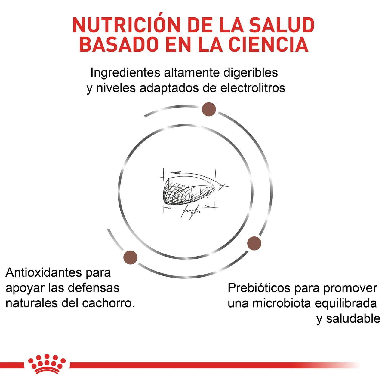 Royal Canin Veterinary Gastro Intestinal Junior