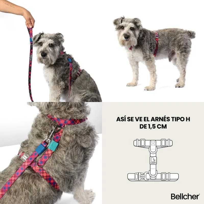 Bellcher - Arnés Tipo H Pixel Rosa 1.5 Cm
