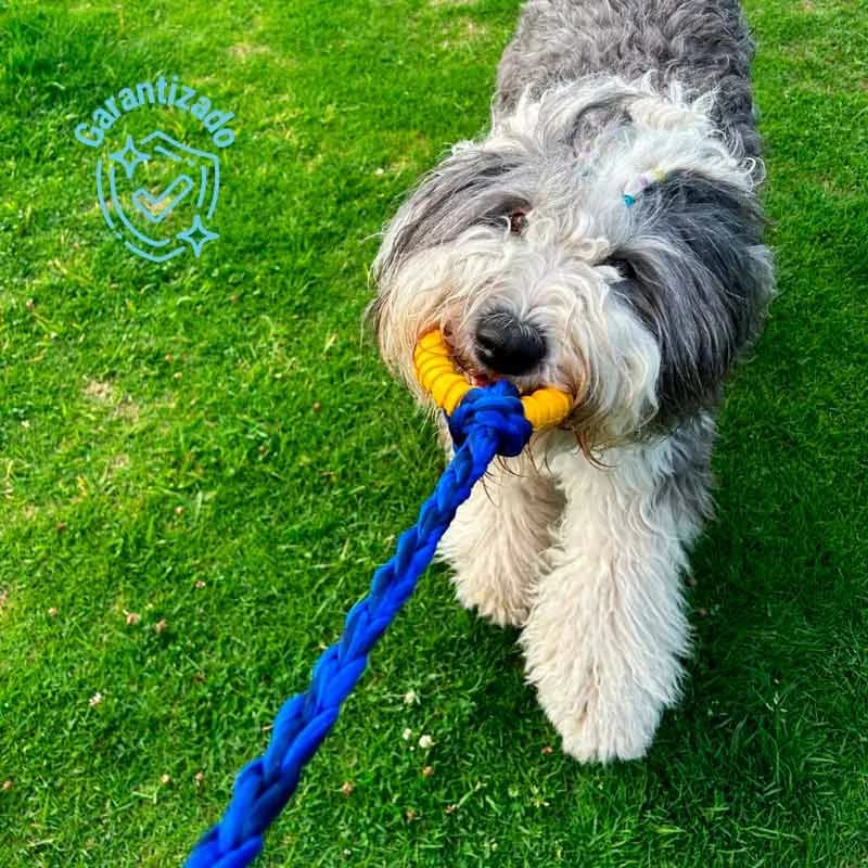 Toysbusters - Juguete De Jalar Resistente Para Perros - Azul
