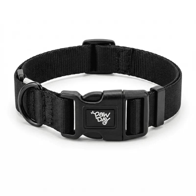 Paw Day - Collar Essential Negro - Verde Neón