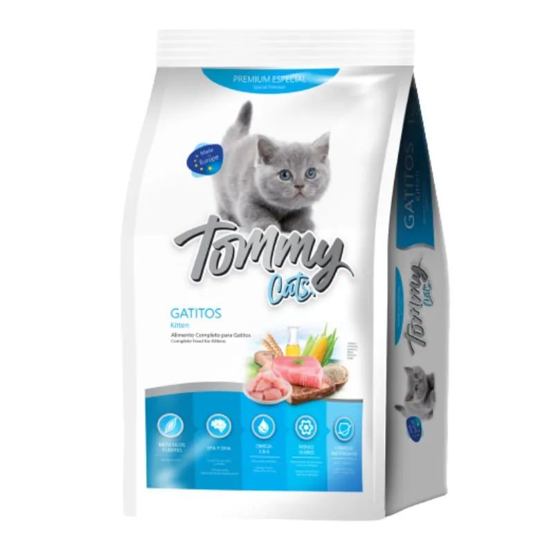 Tommy - Cat's Gatito