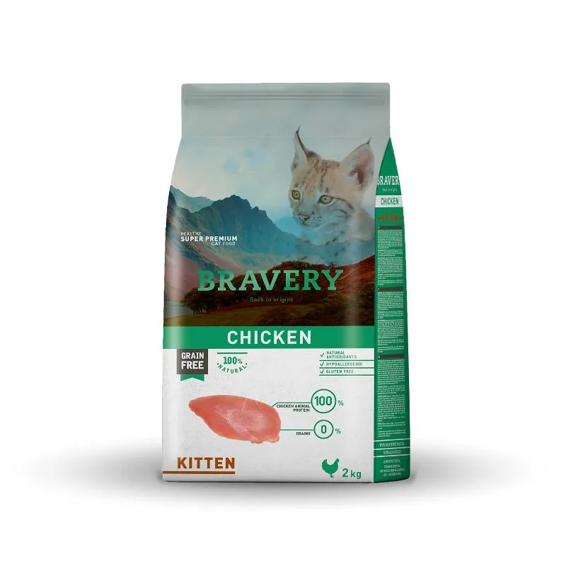 Bravery - Chicken Kitten