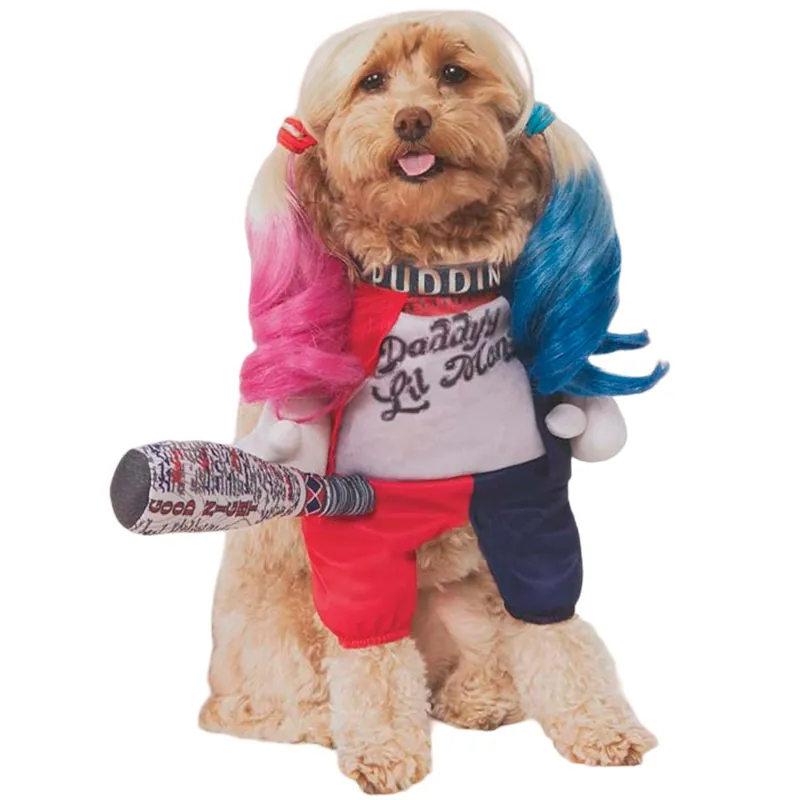 Disfraces Americanos - Harley Quinn Mascota