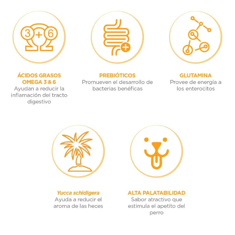 Nupec - Digestive Health
