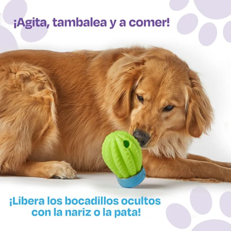 Brightkins - Dispensador De Premios En Forma De Cactus