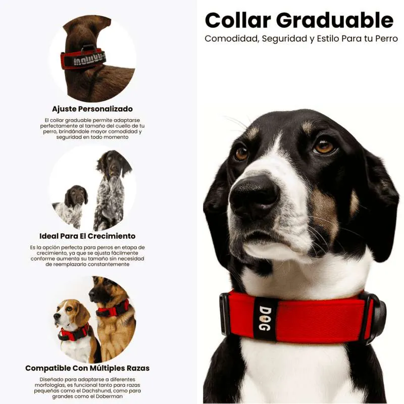 Dogerpilar - Collar Rojo