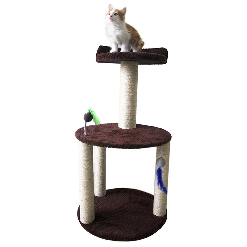 Maos Pets - Gimnasio Redondo