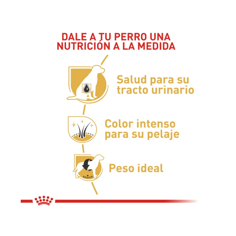 Royal Canin - Schnauzer Miniatura Adult