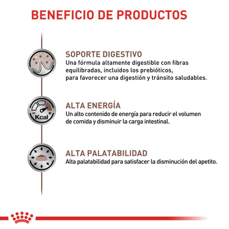 Royal Canin - Gastro Intestinal Cat
