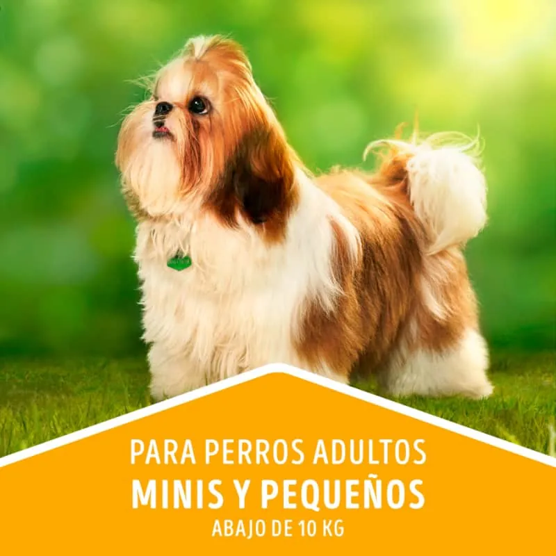 Dog Chow - Salud Visible Adultos Minis Y Pequeños