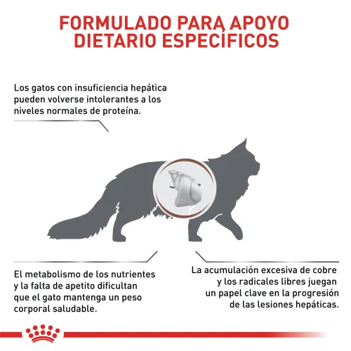 Royal Canin - Feline Vdf Hepatic Cat