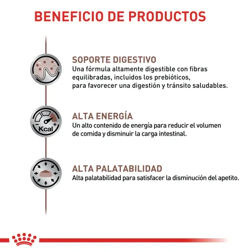 Royal Canin - Feline Vdf Hepatic Cat