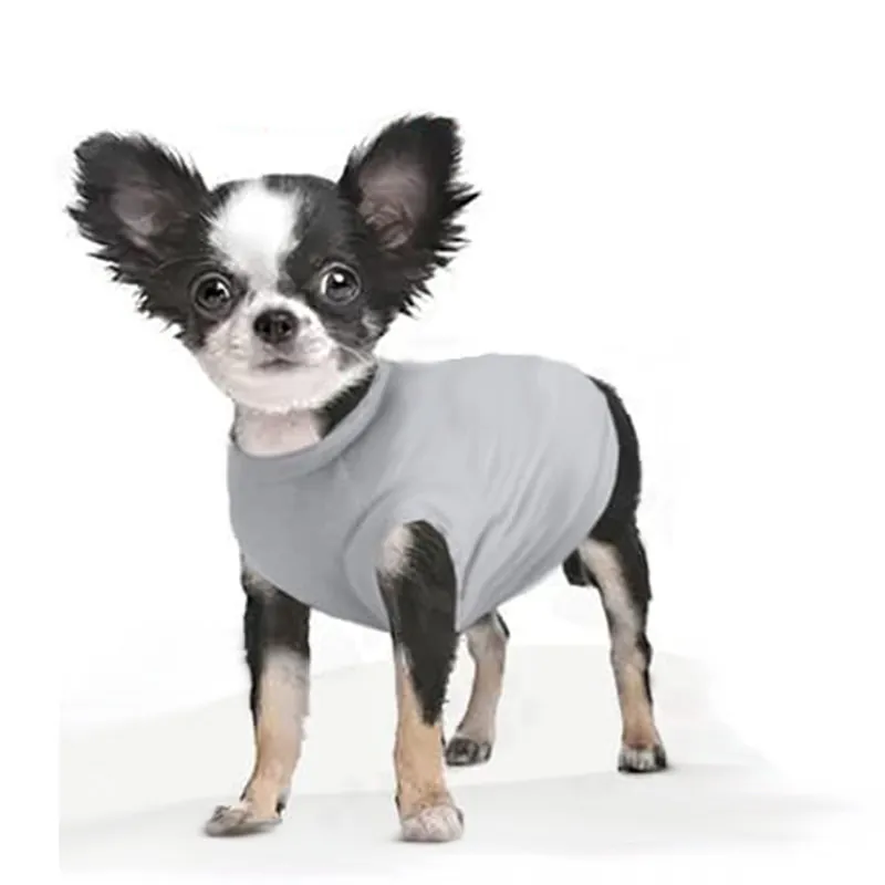 Paw Day - Esqueleto Bordado Mommy Gris
