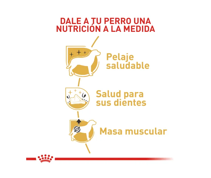 Royal Canin - Poodle Adult