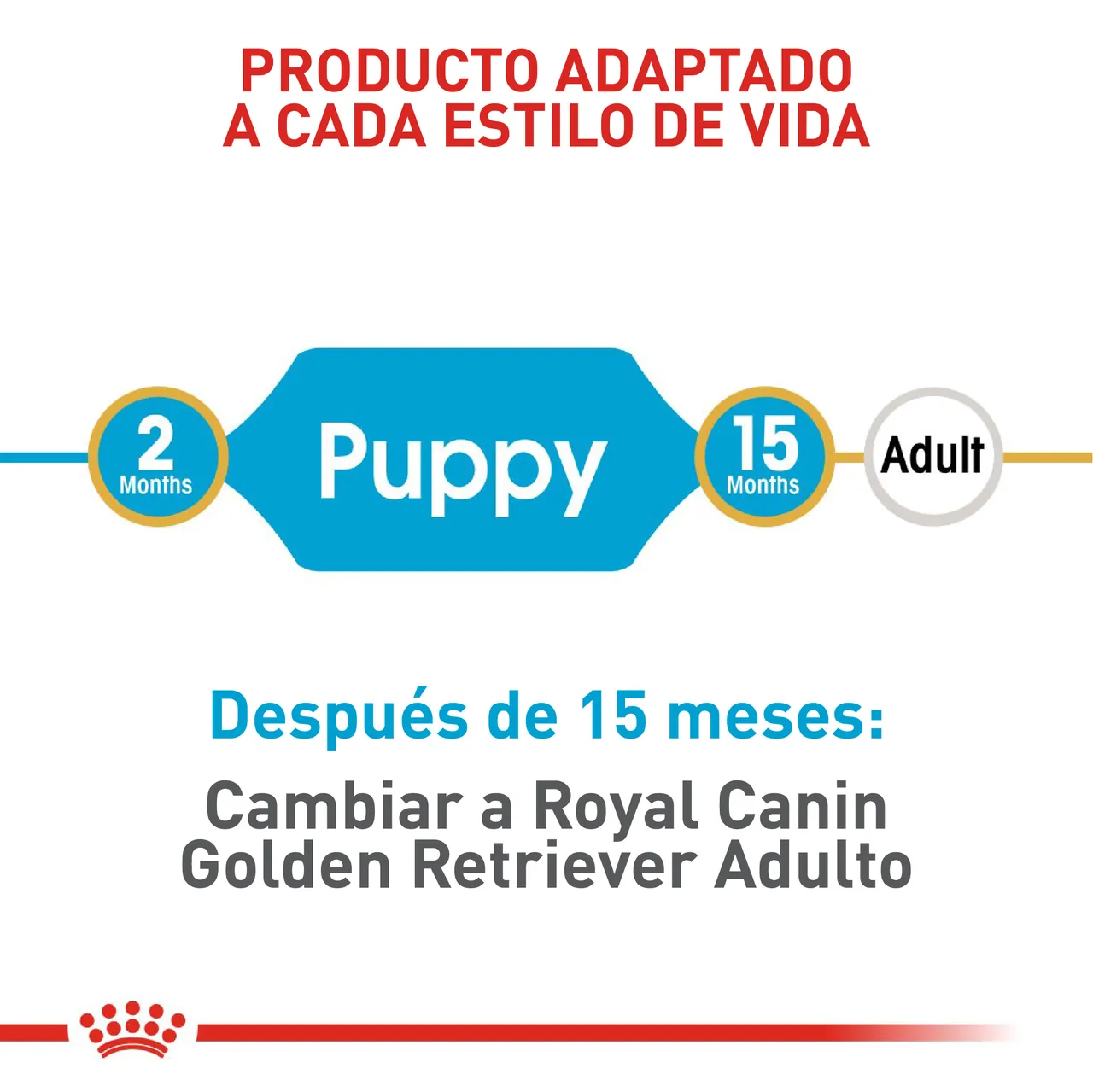 Royal Canin Golden Retriever Puppy