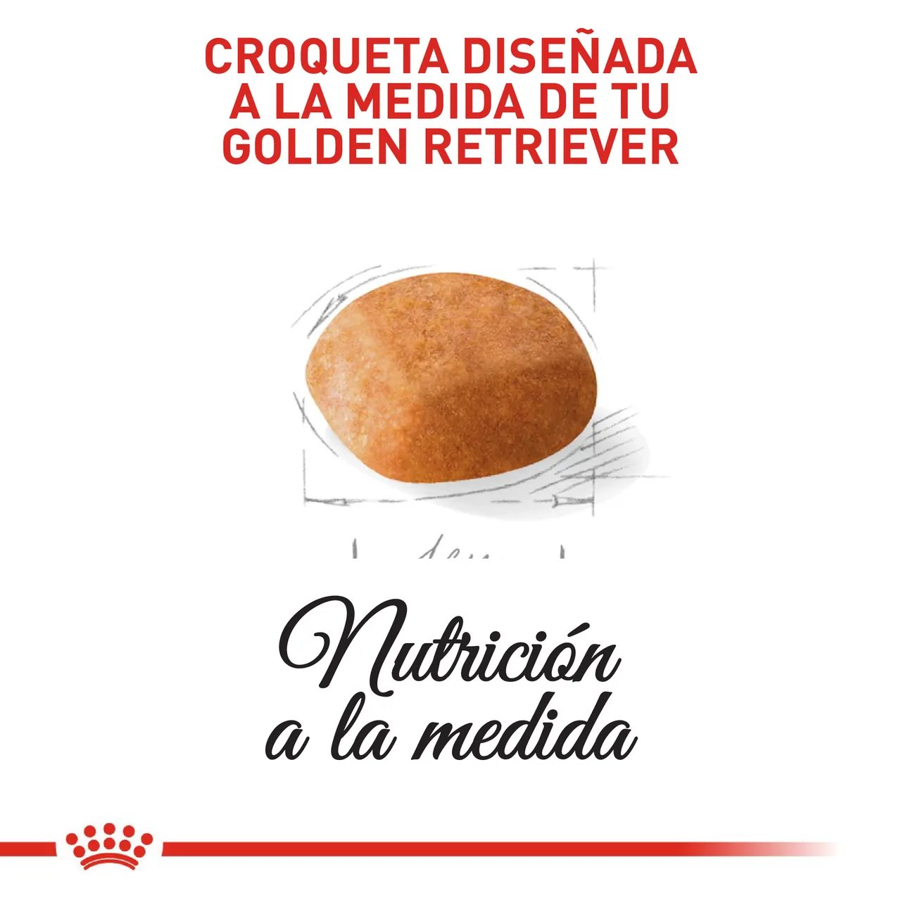 Royal Canin Golden Retriever Puppy