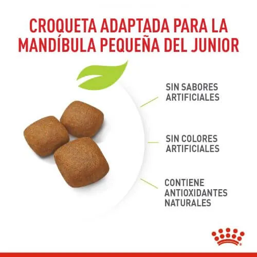 Royal Canin - Giant Junior