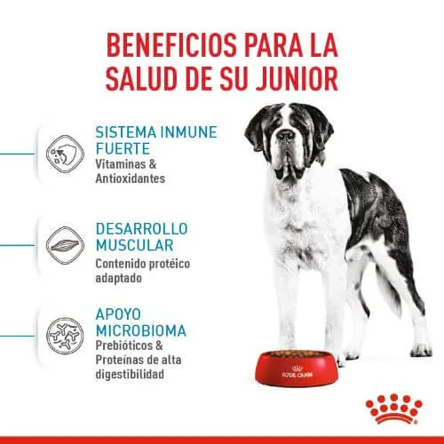 Royal Canin - Giant Junior