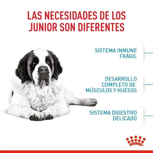 Royal Canin - Giant Junior