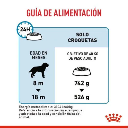 Royal Canin - Giant Junior