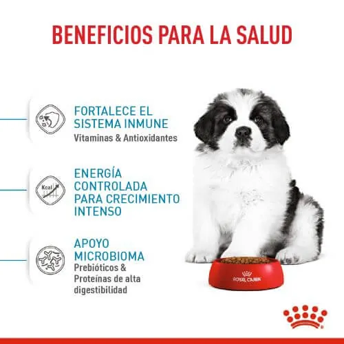 Royal Canin - Giant Puppy