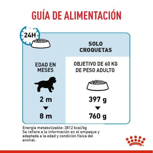 Royal Canin - Giant Puppy