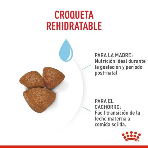 Royal Canin - Mini Starter M&B Dog