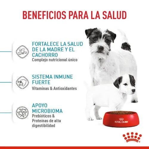 Royal Canin - Mini Starter M&B Dog