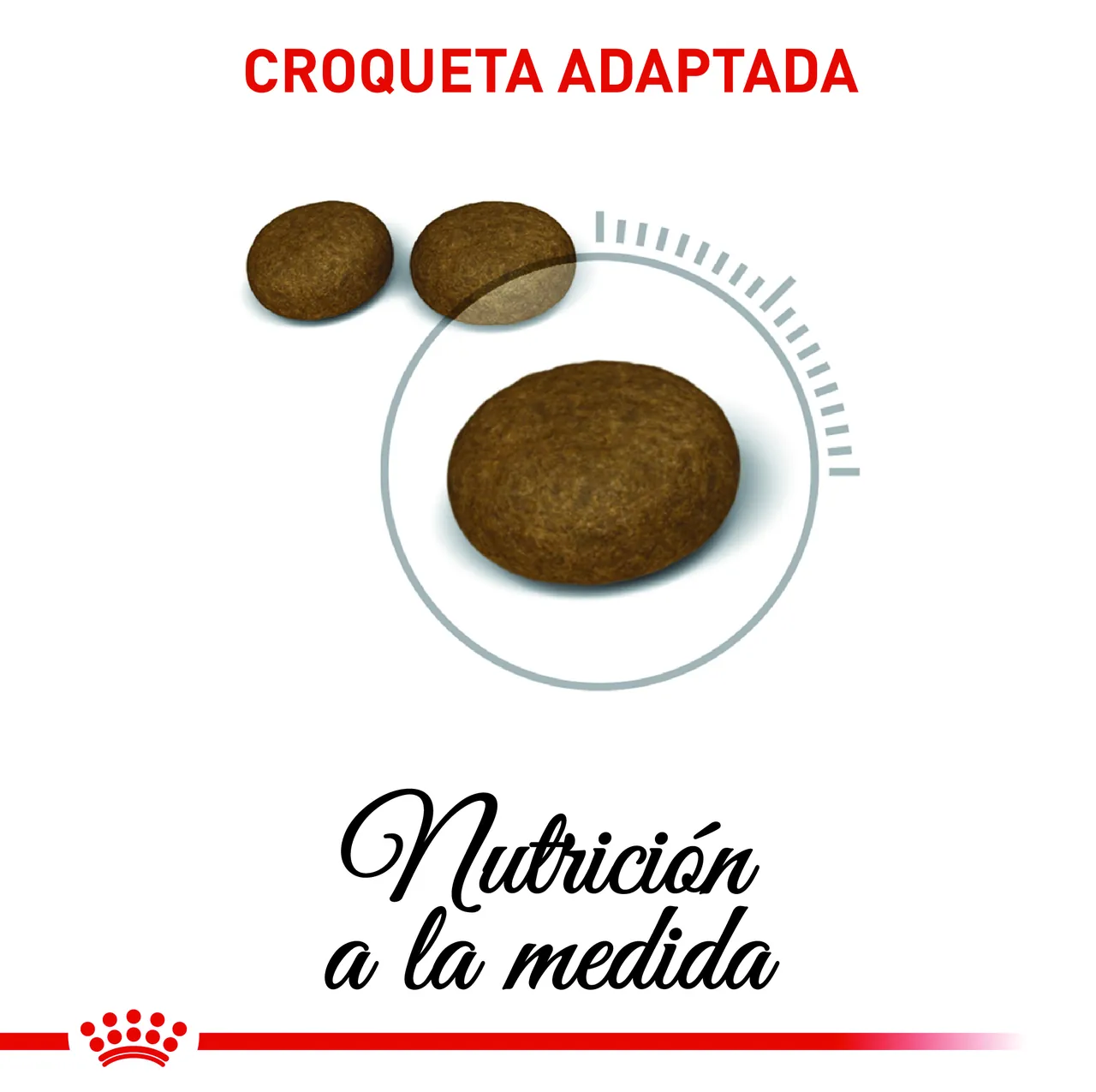 Royal Canin - Hair And Skin Care