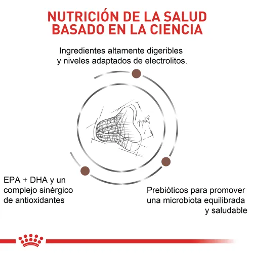 Royal Canin - Fibre Response Cat