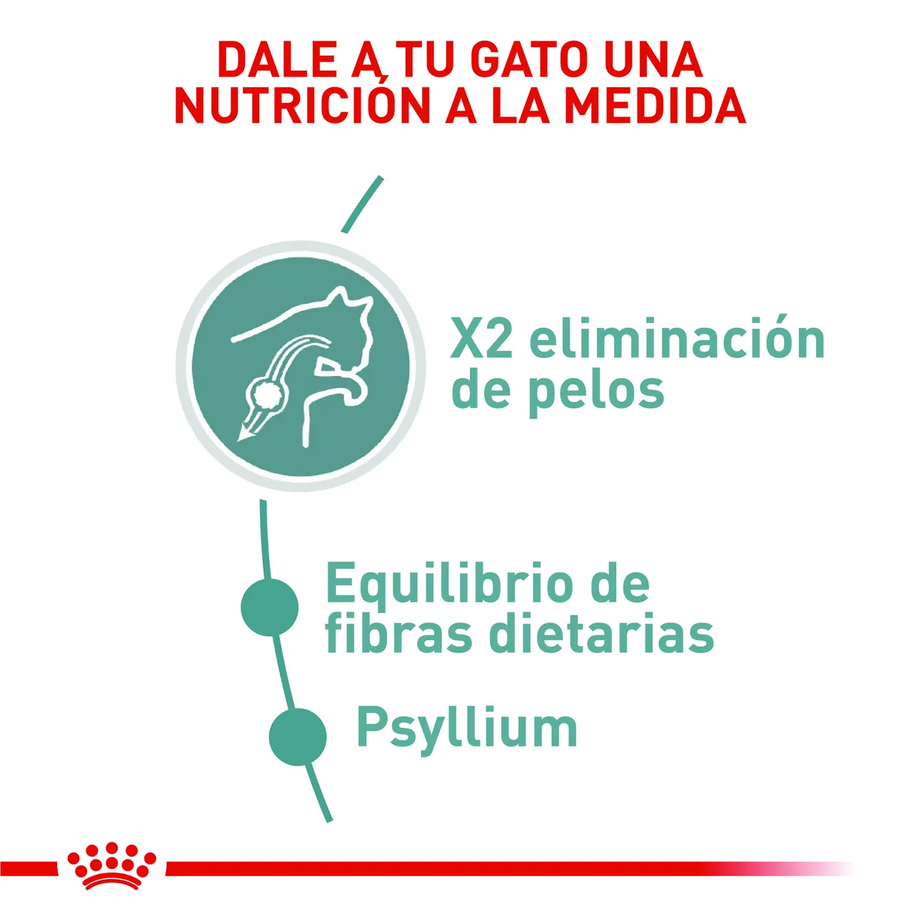 Royal Canin Hairball Care
