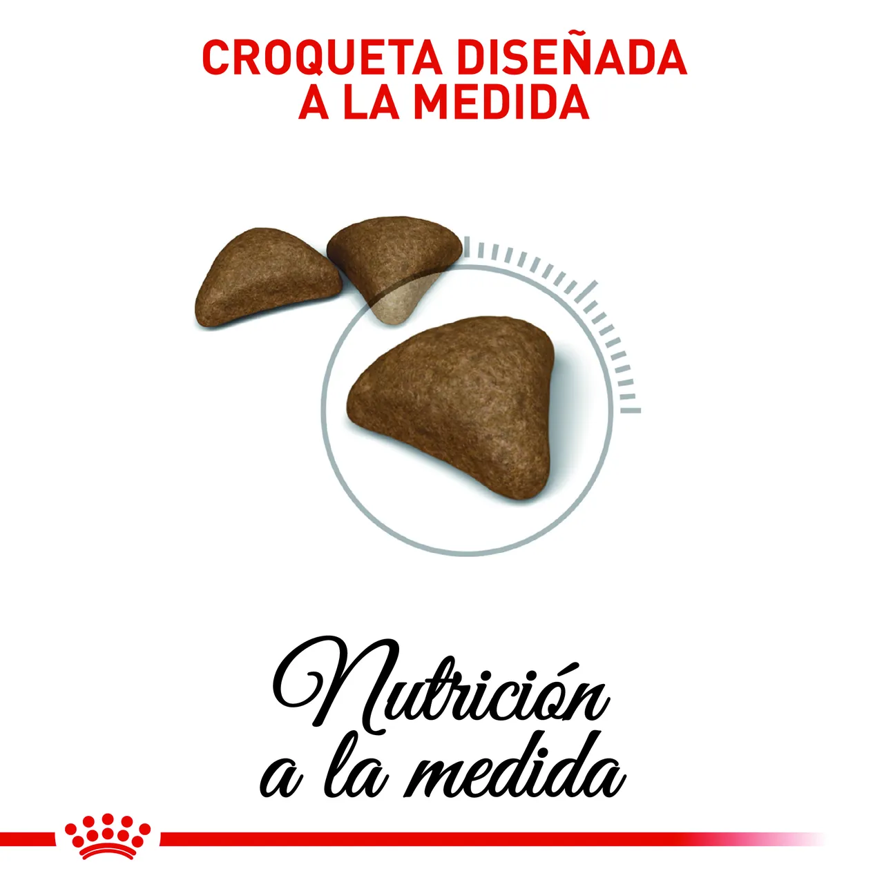 Royal Canin Hairball Care