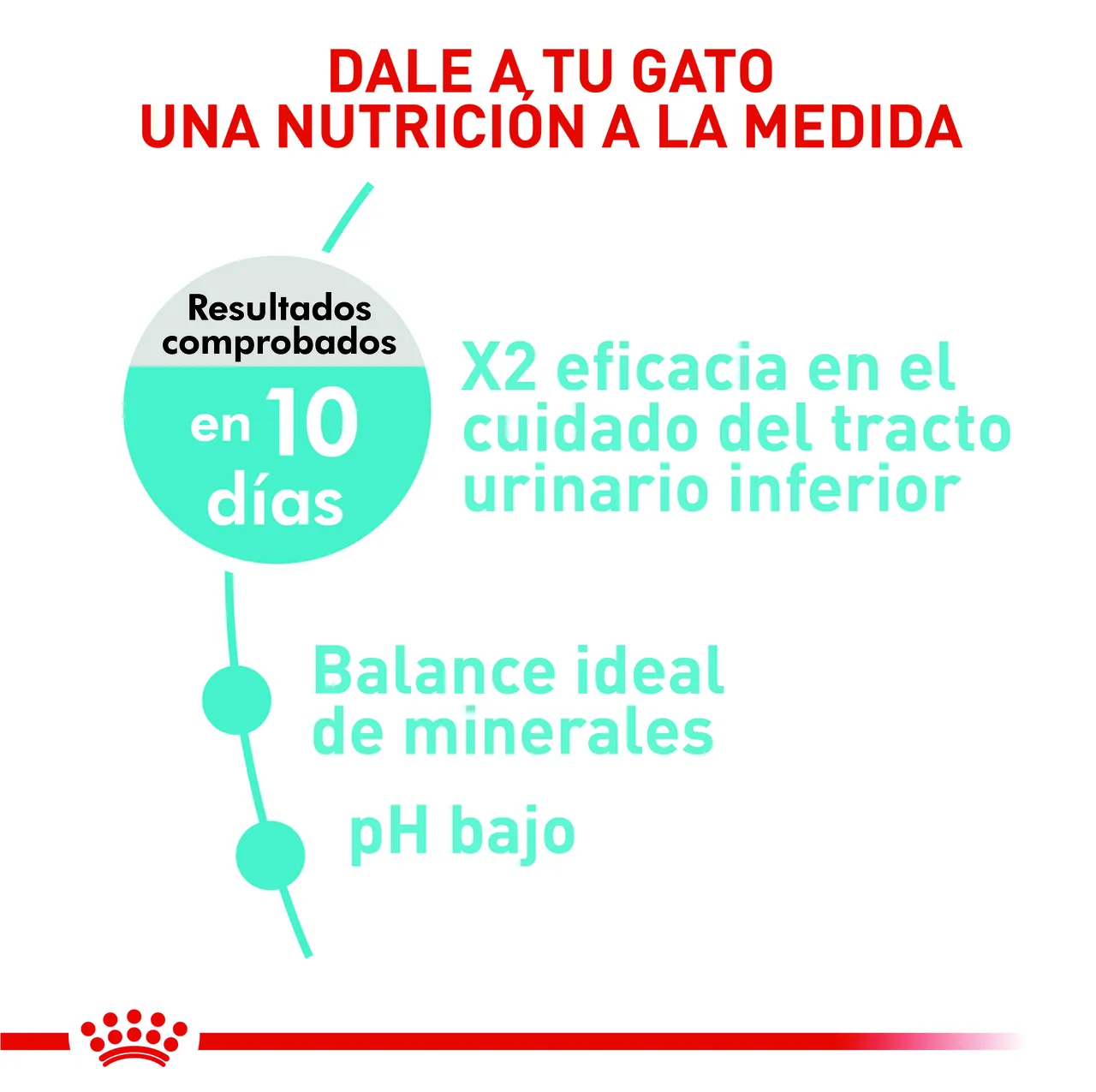 Royal Canin - Urinary Care Cat
