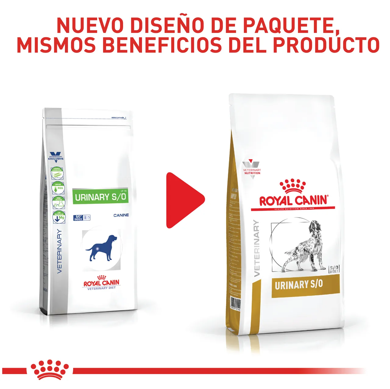 Royal Canin Urinary So Dog