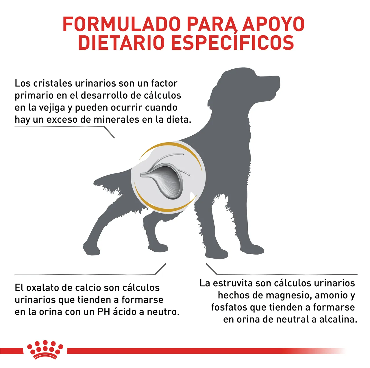 Royal Canin Urinary So Dog