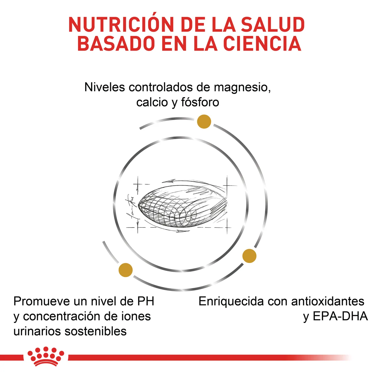Royal Canin Urinary So Dog