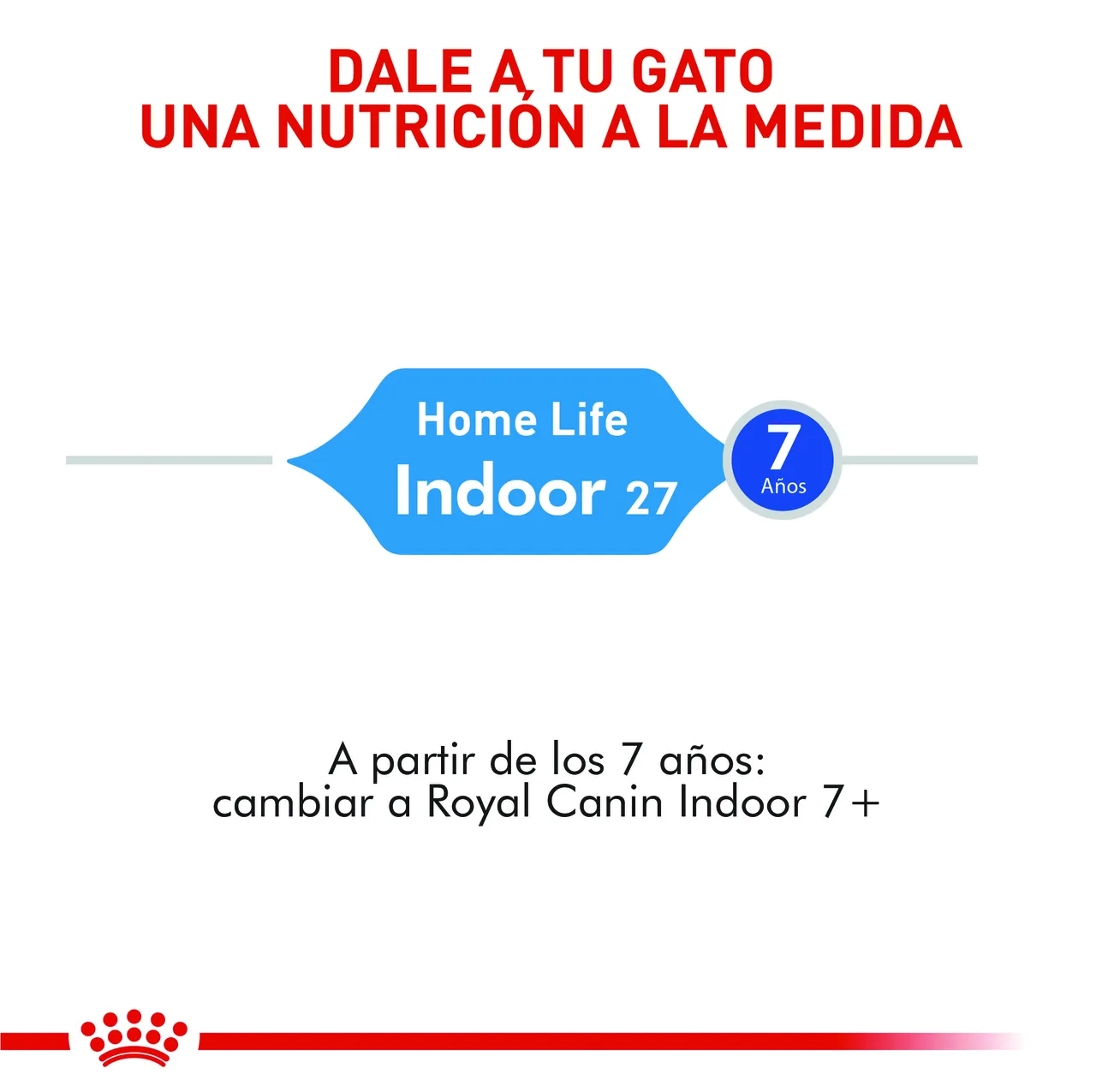 Royal Canin - Indoor Adult