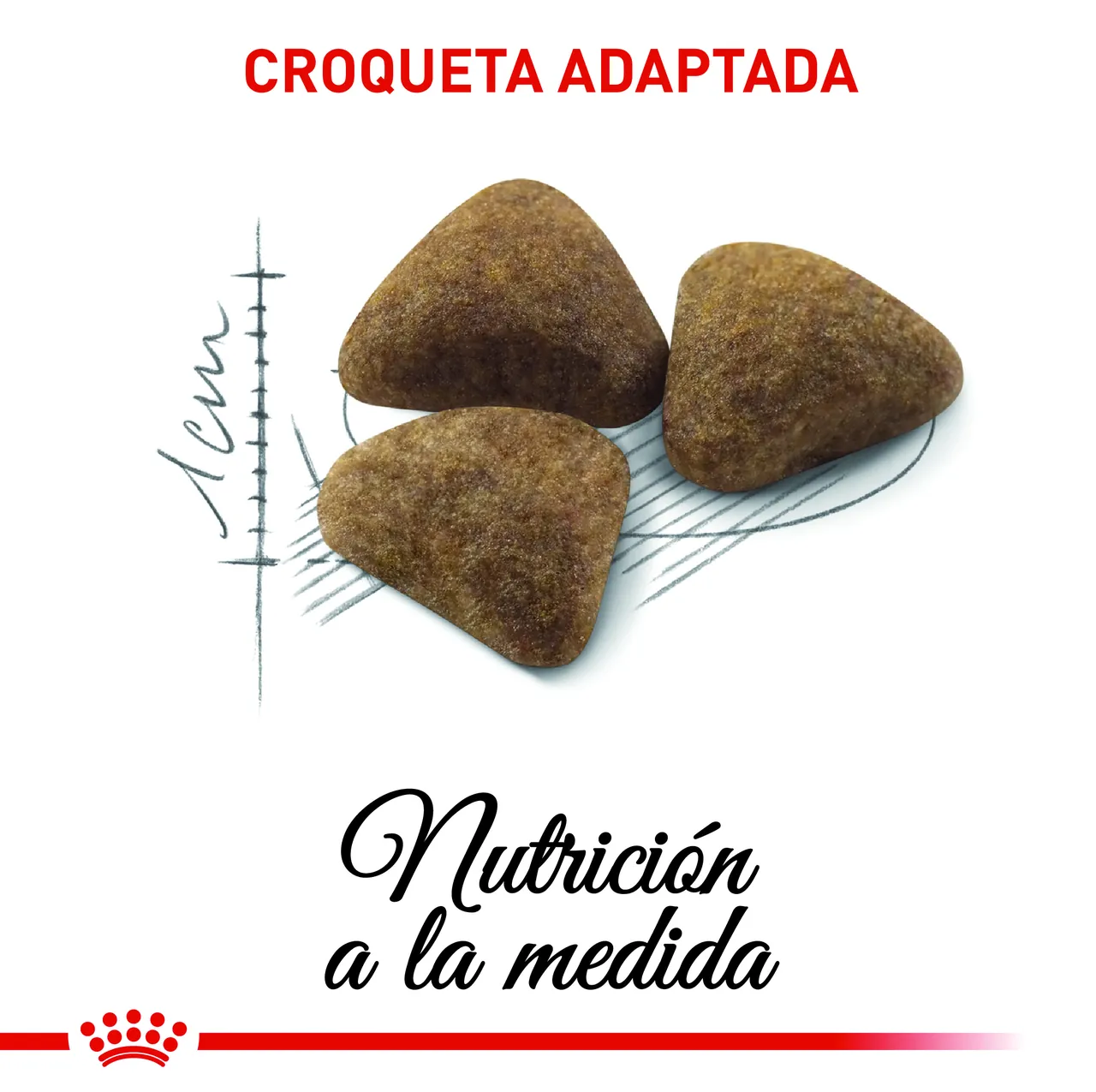 Royal Canin - Indoor Adult