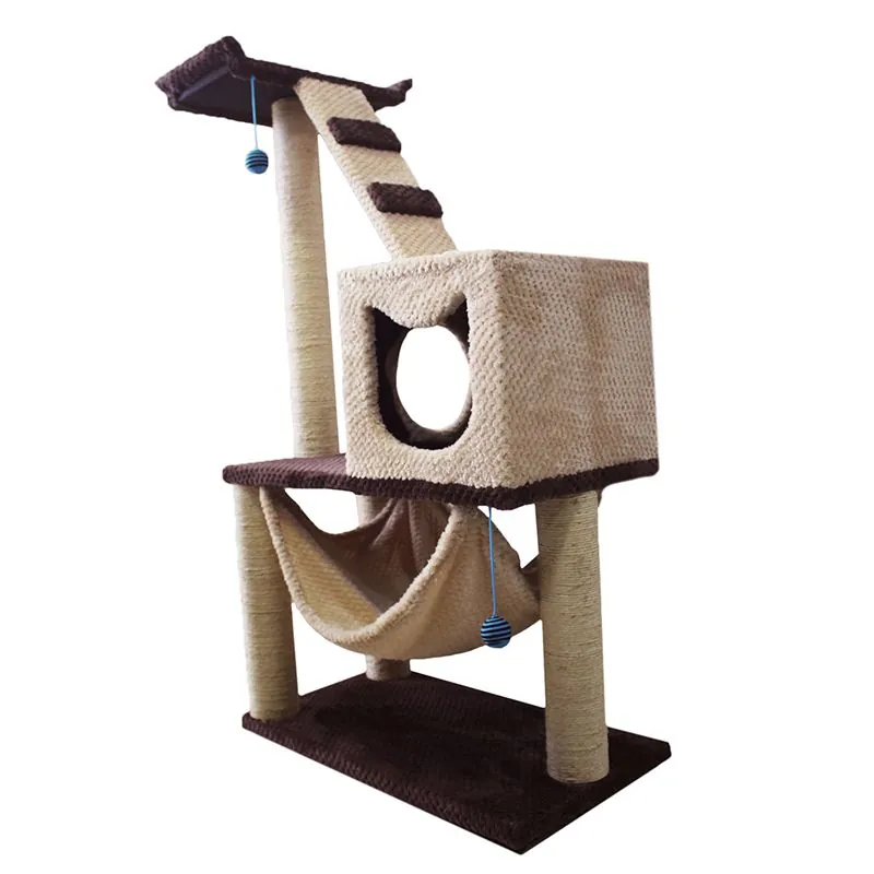 Maos Pets - Gimnasio Mediano