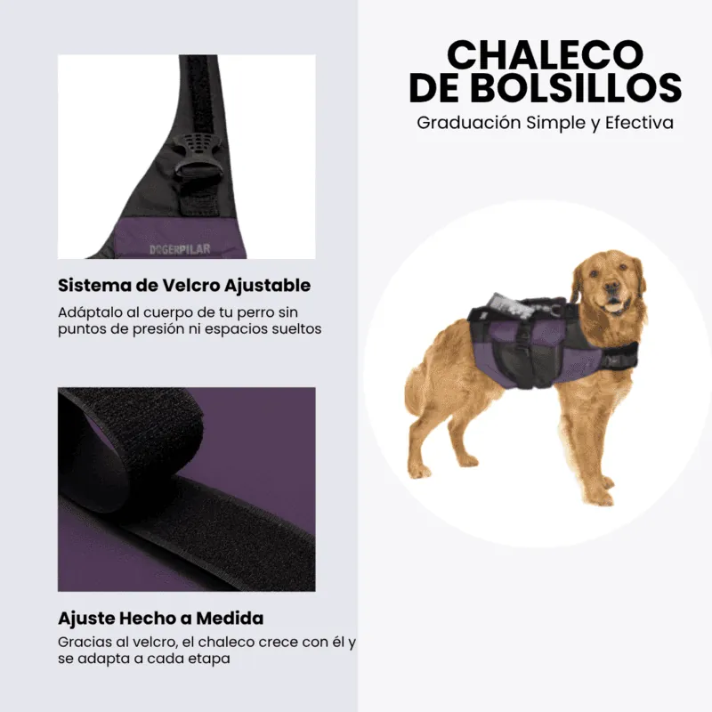 Dogerpilar - Chaleco Bolsillos Morado