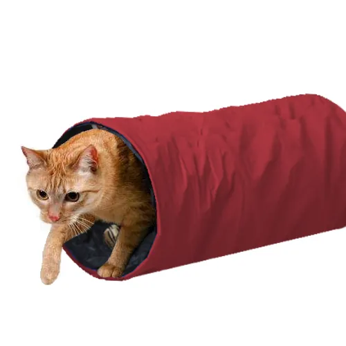 Paw Day - Túnel Gato